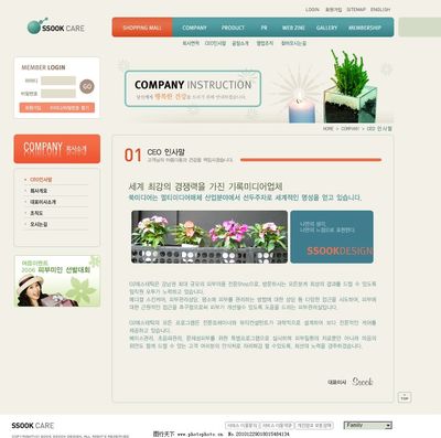 女性護(hù)理設(shè)計網(wǎng)頁與網(wǎng)站模板 關(guān)鍵要素與視覺策略